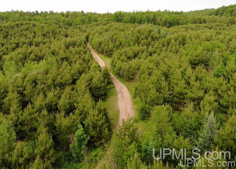Tbd Off Indian Road Lanse, MI 49946 - Photo 1 of 14