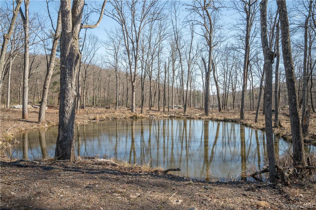 56 Benjamin Meadow Road Tuxedo Park, NY 10987 - Photo 2 of 36