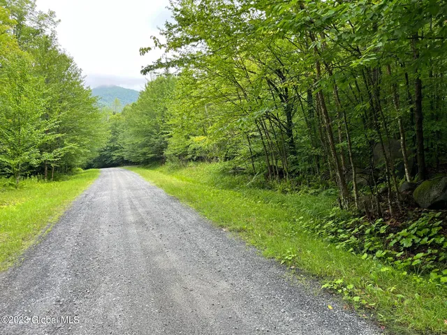 $115,000 | L93 Ruby Mountain View Drive, North River, NY 12856