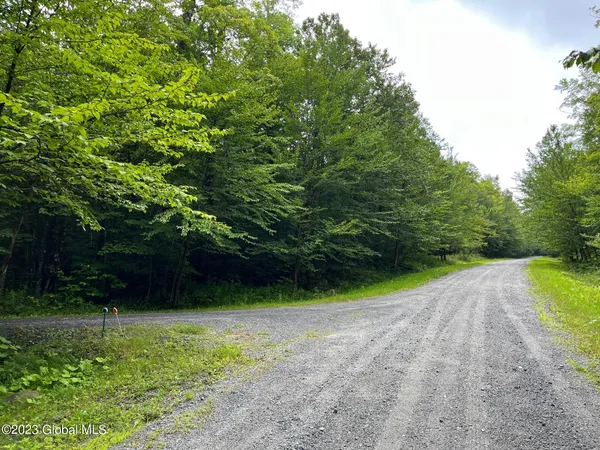 $115,000 | L93 Ruby Mountain View Drive, North River, NY 12856