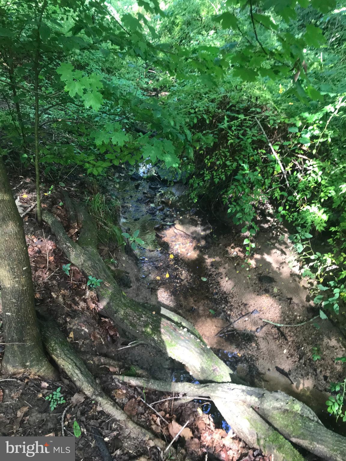 3041 Telegraph Road Elkton, MD 21921 - Photo 40 of 49 Creek on the side