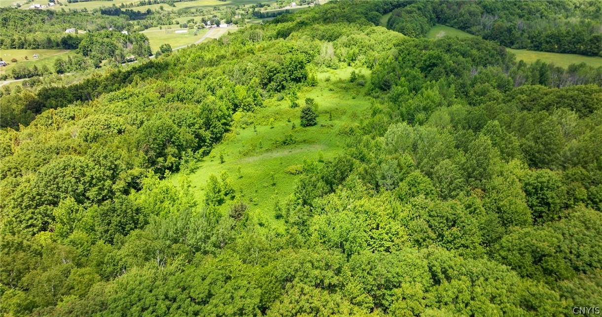 Bush Street Cobleskill, NY 12043 - Photo 3 of 12 The front open area of the land