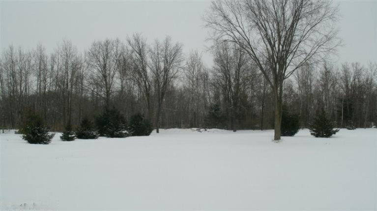 5839 East Pakes Road Crystal, MI 48818 - Photo 19 of 24 Additional Photo