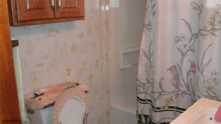 5839 East Pakes Road Crystal, MI 48818 - Photo 9 of 24 Additional Photo