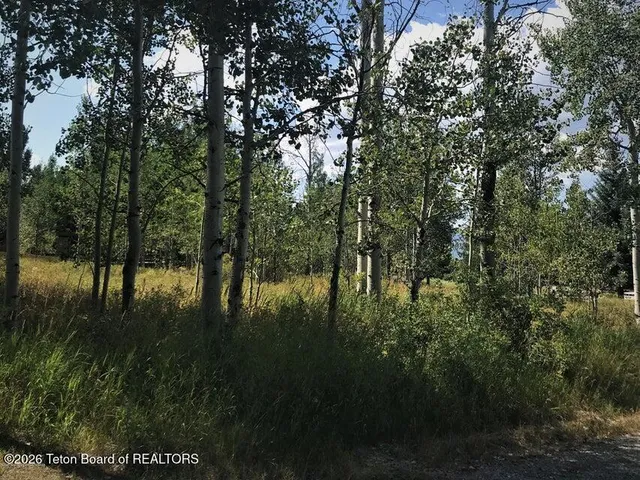 $87,850 | 9 Plat Green Canyon Drive, Thayne, WY 83127