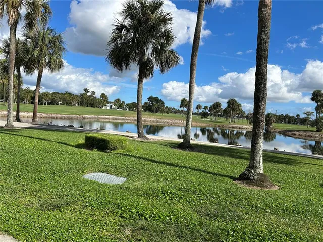 a view of a park with palm trees