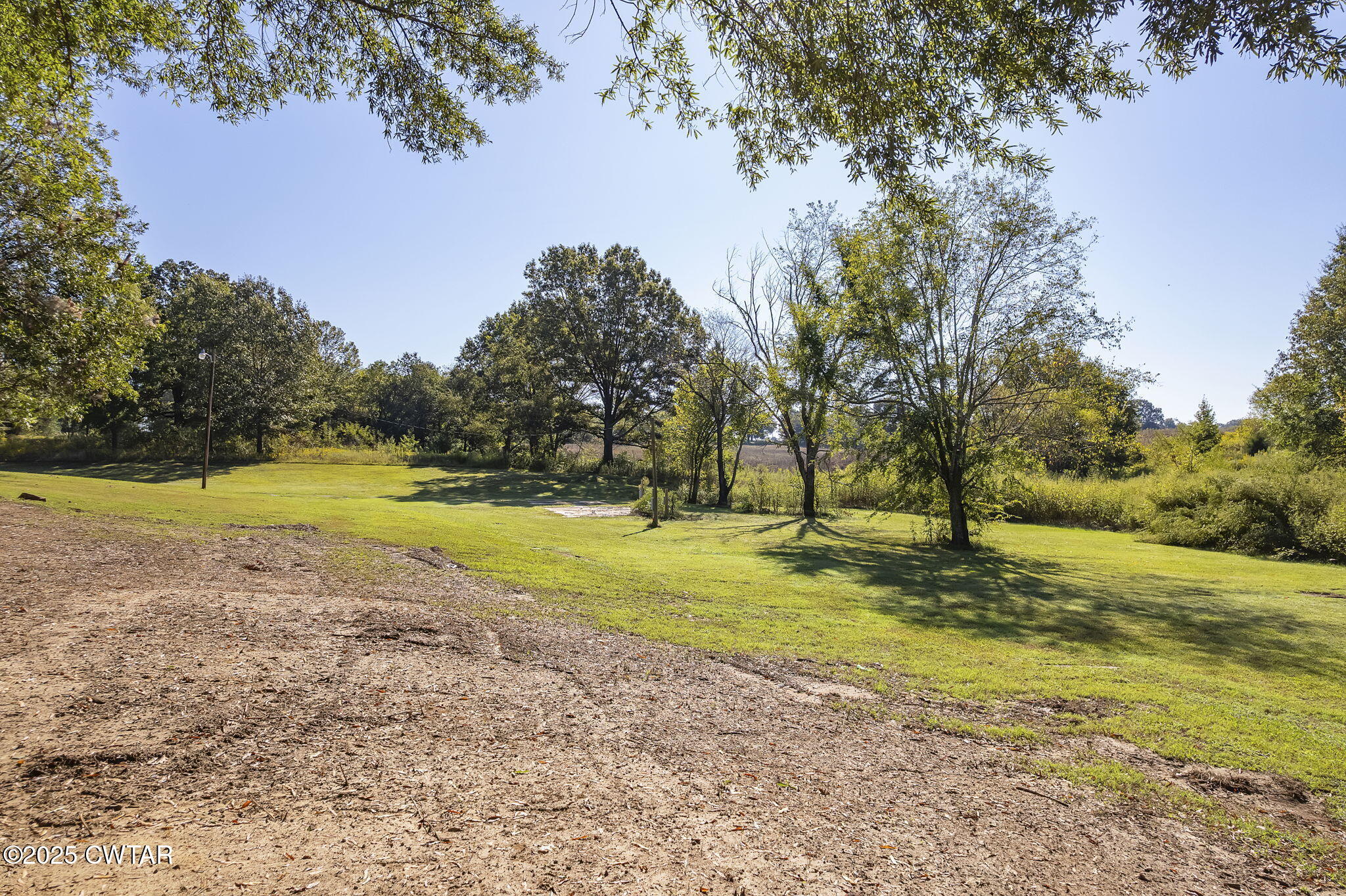 4135 Eurekaton Road Stanton, TN 38069 - Photo 25 of 33 a view of a yard with large trees