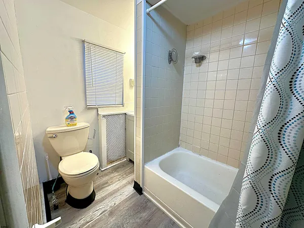 a bathroom with a toilet and a bathtub