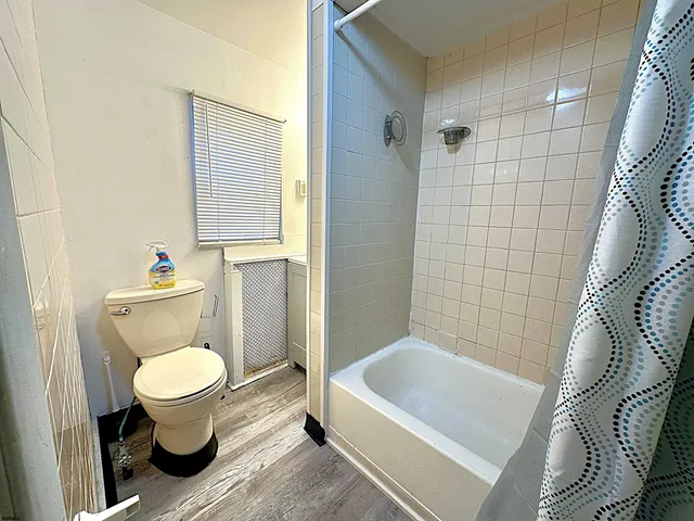 a bathroom with a toilet and a bathtub