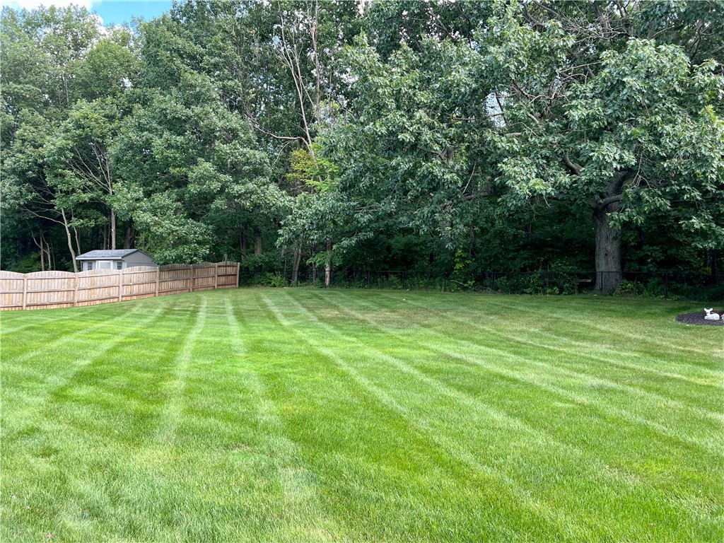 232 Torrey Pine Drive Greece, NY 14612 - Photo 3 of 28 Yard