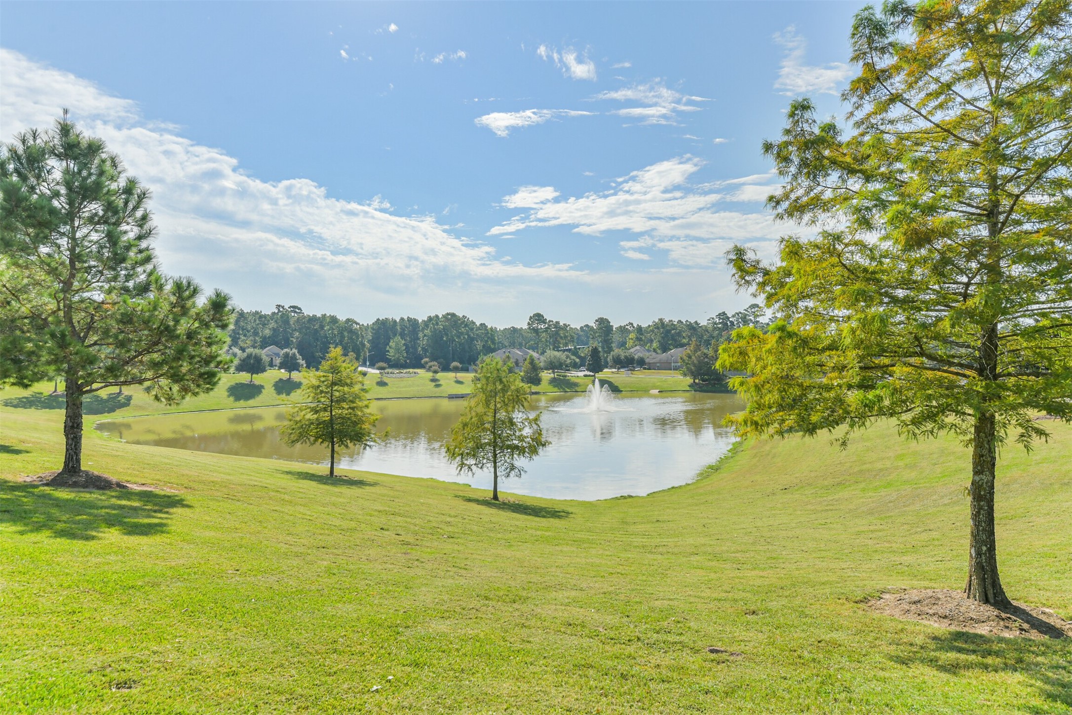 1803 Nantz Lane Conroe, TX 77304 - Photo 3 of 17 Pond in the center of the neighborhood
