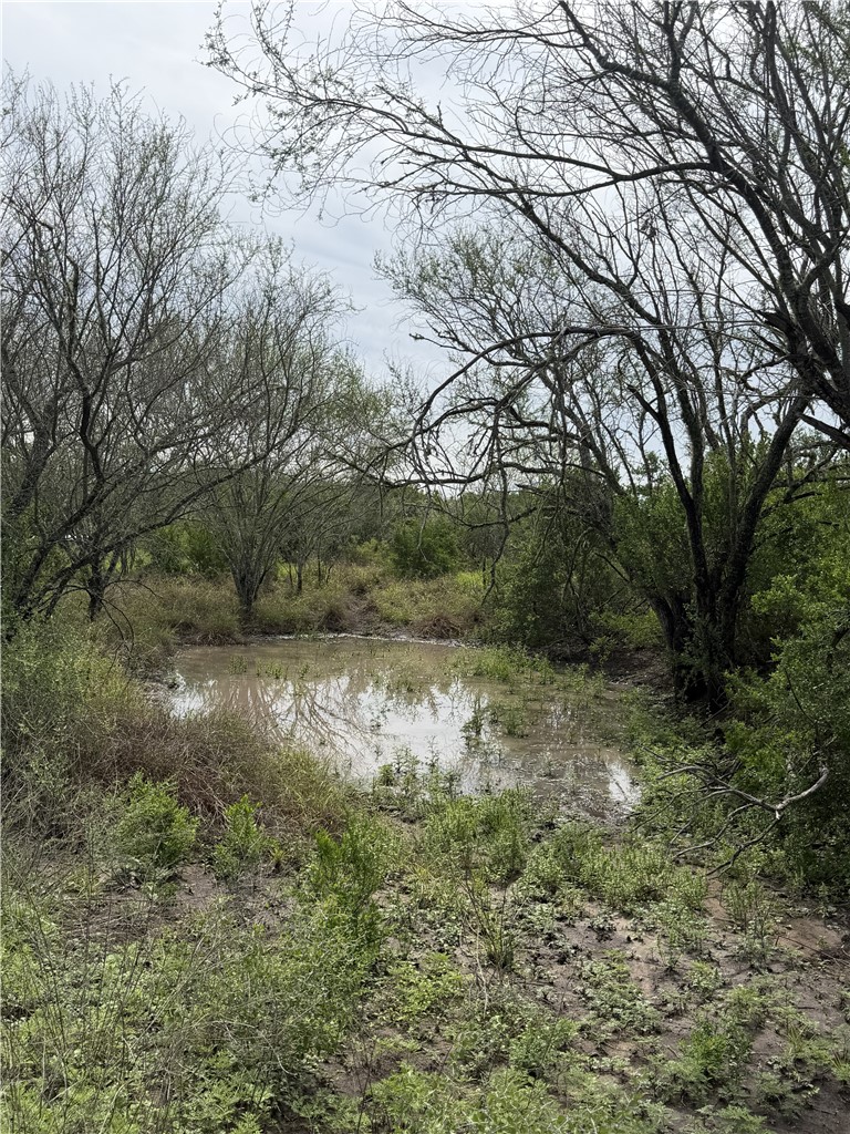 2346 Frontier Rd 1 San Diego, TX 78384 - Photo 2 of 14