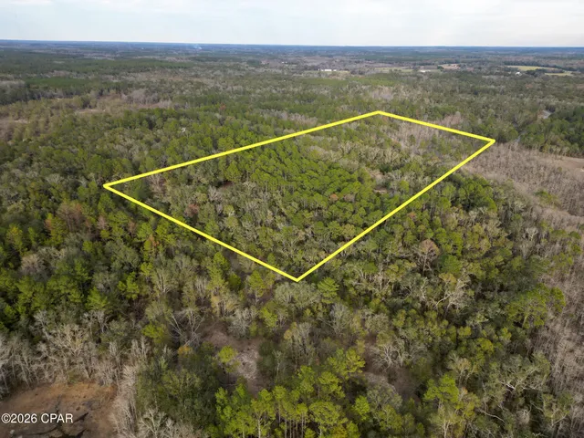 $300,000 | 1853 Winterville Lane, Bonifay, FL 32425