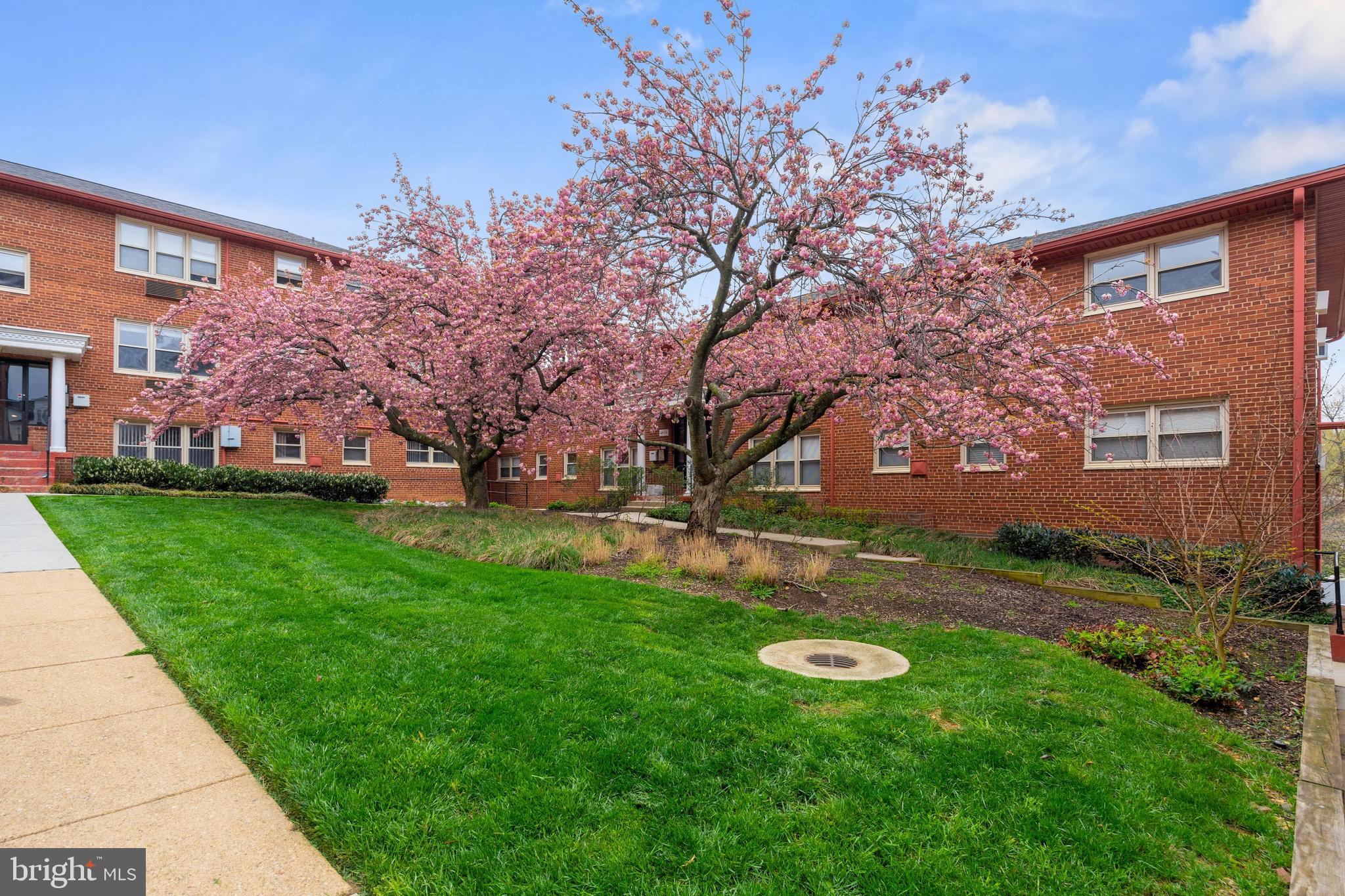 4635 20th Road North, Unit 12 Arlington, VA 22207 - Photo 3 of 24
