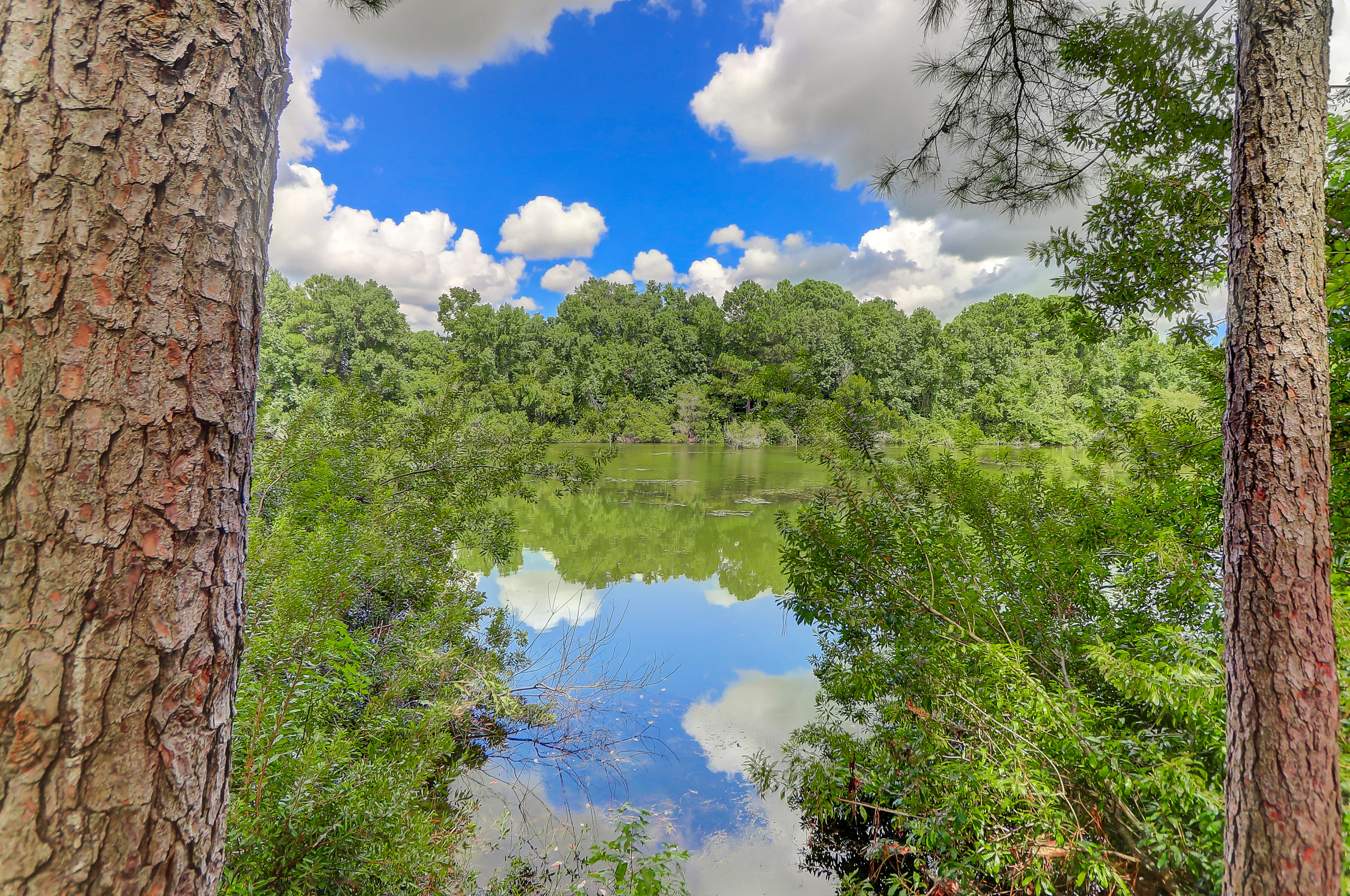 129 Jakes Lane Mount Pleasant, SC 29464 - Photo 14 of 27 129 Jakes (19)