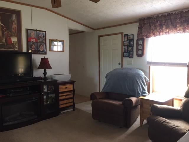 14909 Molineaux Road Wolverine, MI 49799 - Photo 3 of 17 Gallery Image 3