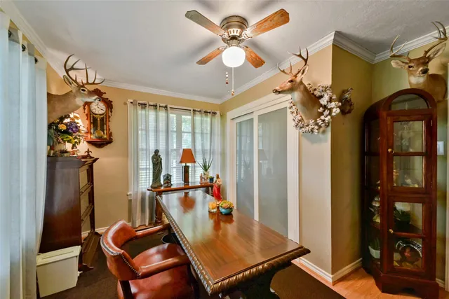 a room with chandelier fan and windows