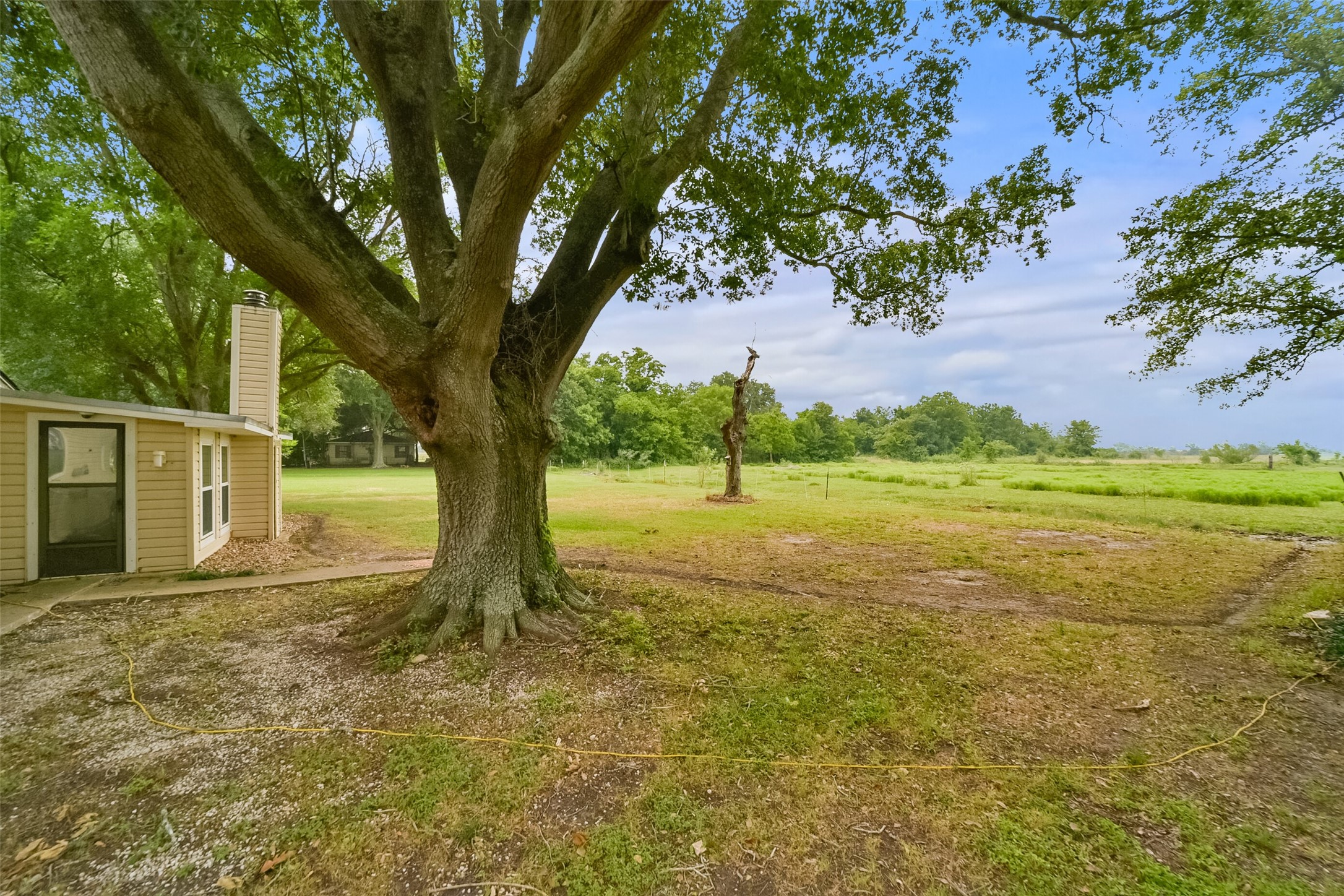 13710 Mueck Road Needville, TX 77461 - Photo 35 of 42 This photo features a portion of a house with a large, mature tree in the foreground, offering ample shade and a sense of established landscaping. In the background, there is an expansive, open grassy area that provides a rural feel and plenty of room for outdoor activities or potential landscaping projects.