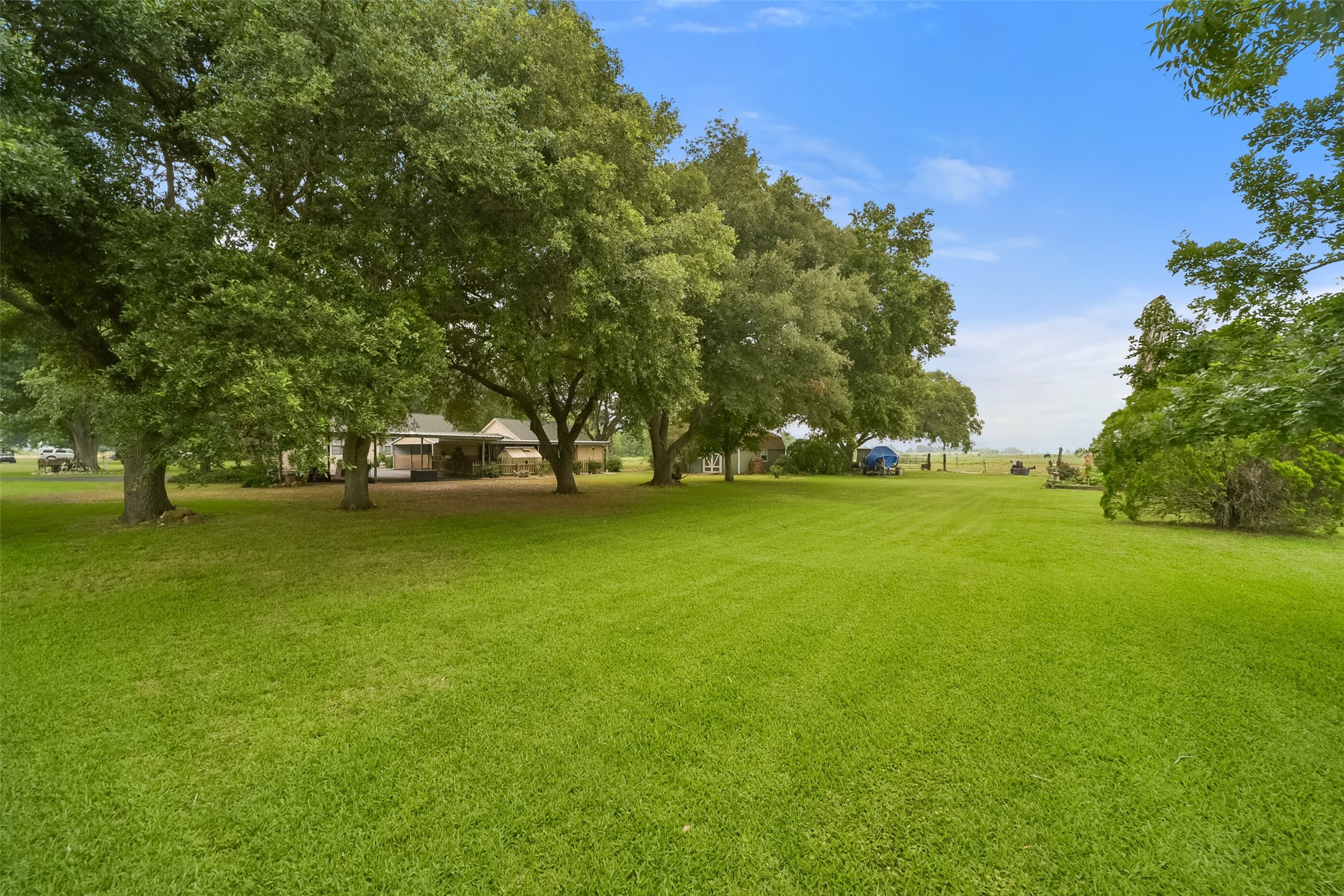 13710 Mueck Road Needville, TX 77461 - Photo 38 of 42 This is a spacious and lush property featuring a well-maintained lawn and mature trees, with a single-story house set back from the road, offering privacy and a serene setting.