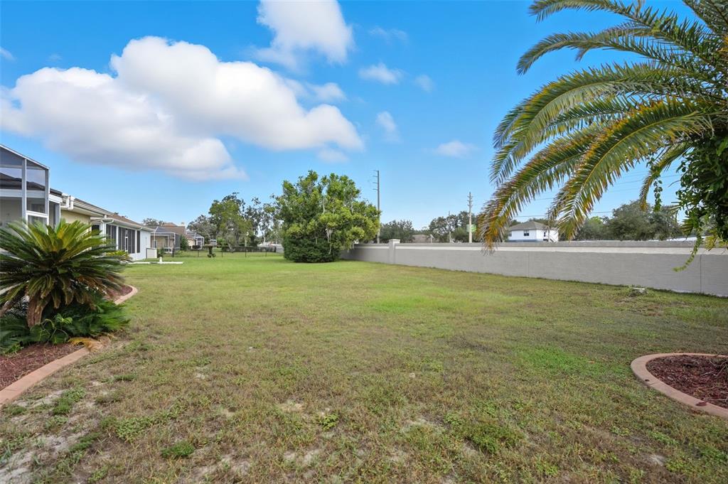 3352 St Ives Boulevard Spring Hill, FL 34609 - Photo 19 of 21