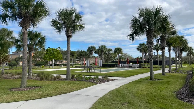a view of a park with palm trees