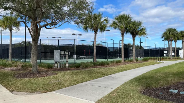 a view of a backyard with palm trees