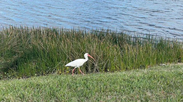 a front view of a building