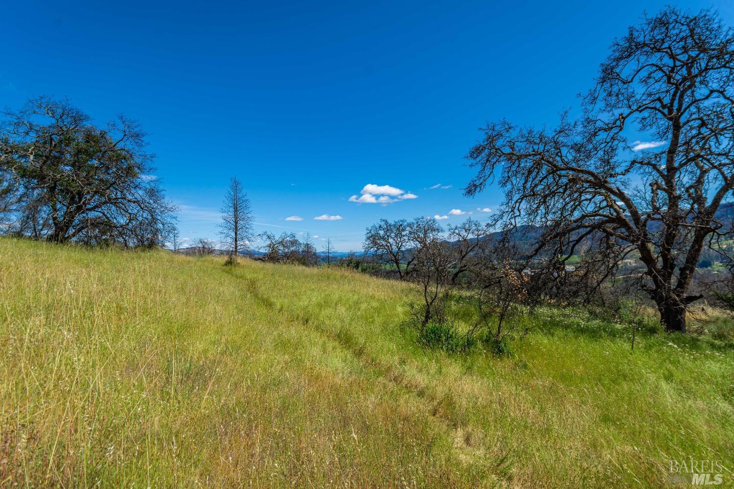 0 Silverado Trail North Calistoga, CA 94515 - Photo 11 of 82 a view of an outdoor space and a yard