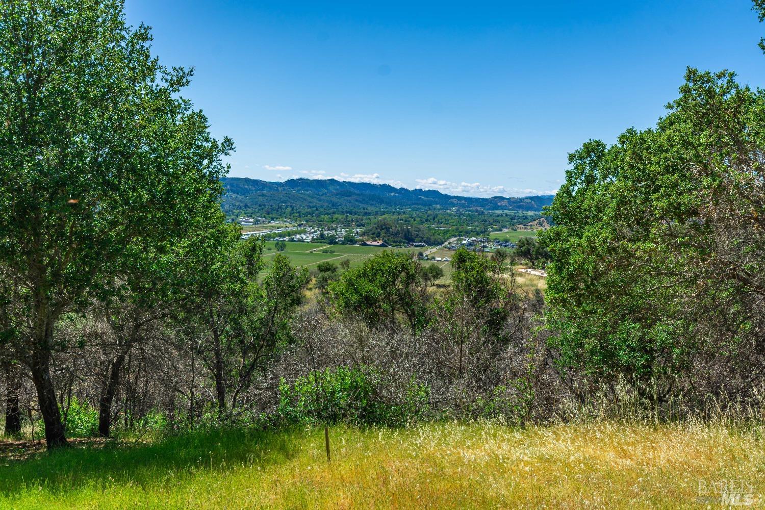 0 Silverado Trail North Calistoga, CA 94515 - Photo 13 of 82