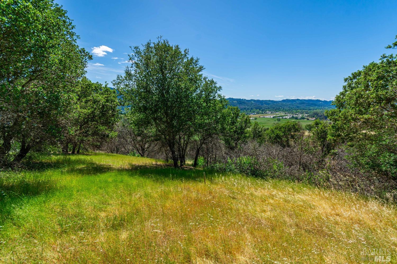 0 Silverado Trail North Calistoga, CA 94515 - Photo 14 of 82 a view of a yard with a tree