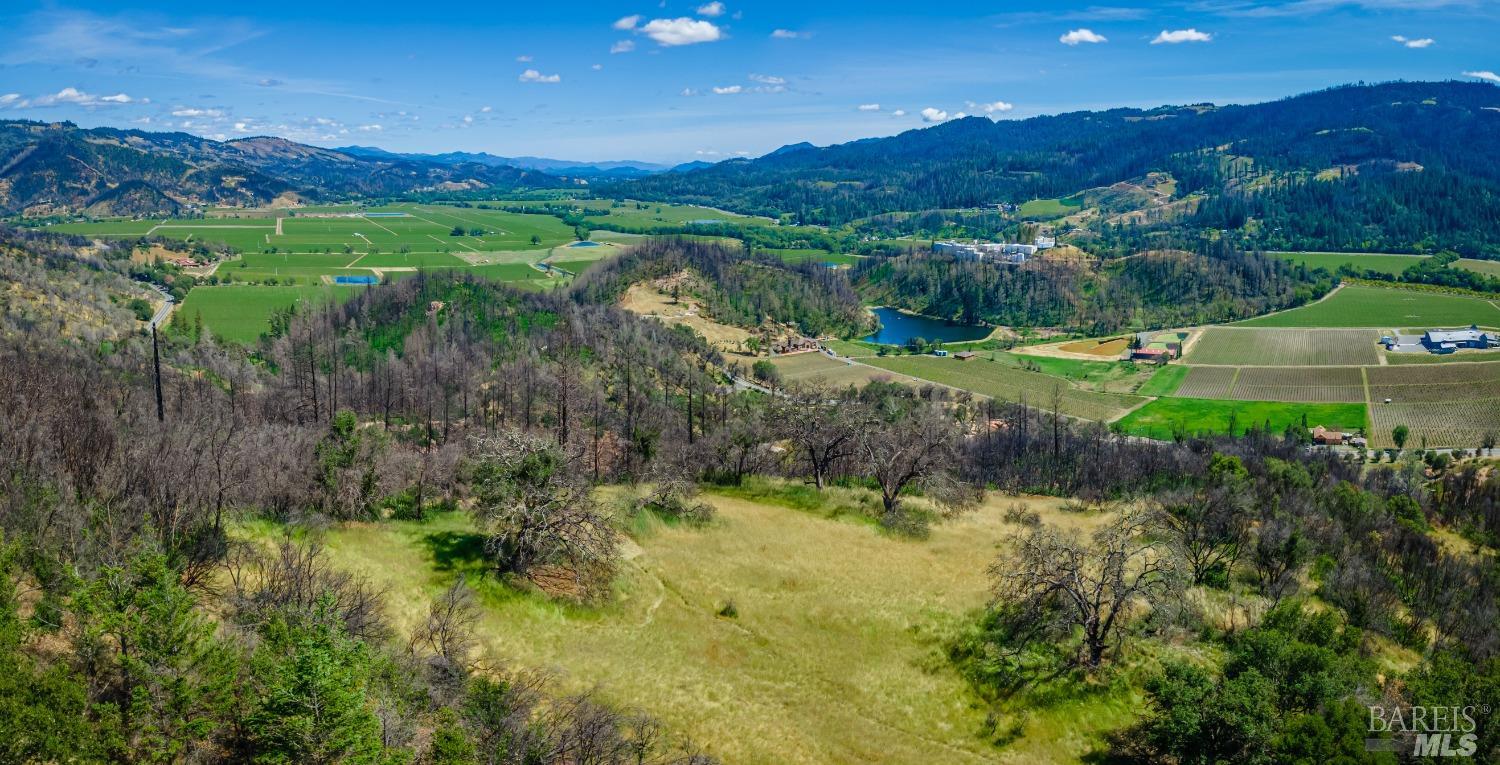 0 Silverado Trail North Calistoga, CA 94515 - Photo 18 of 82 a view of a lake with green field