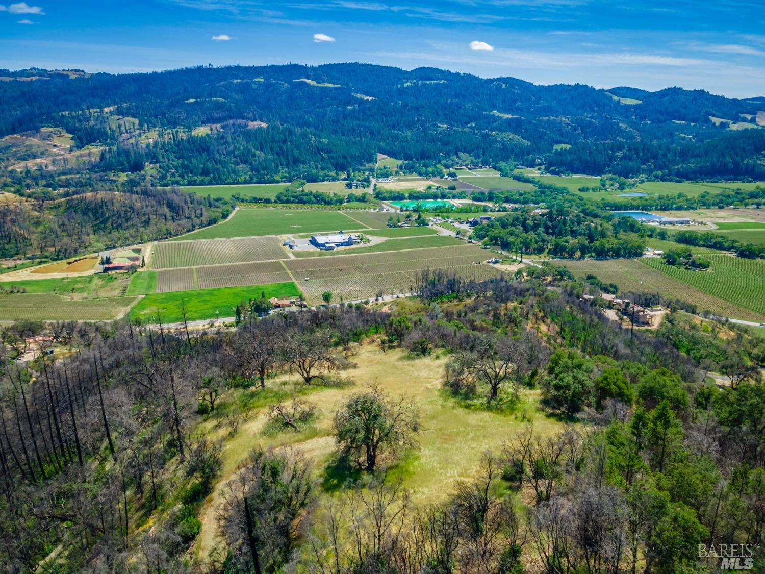 0 Silverado Trail North Calistoga, CA 94515 - Photo 20 of 82 a view of a lush green hillside and houses