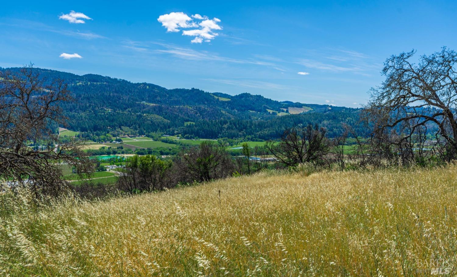 0 Silverado Trail North Calistoga, CA 94515 - Photo 2 of 82 a view of a lake in middle of the forest