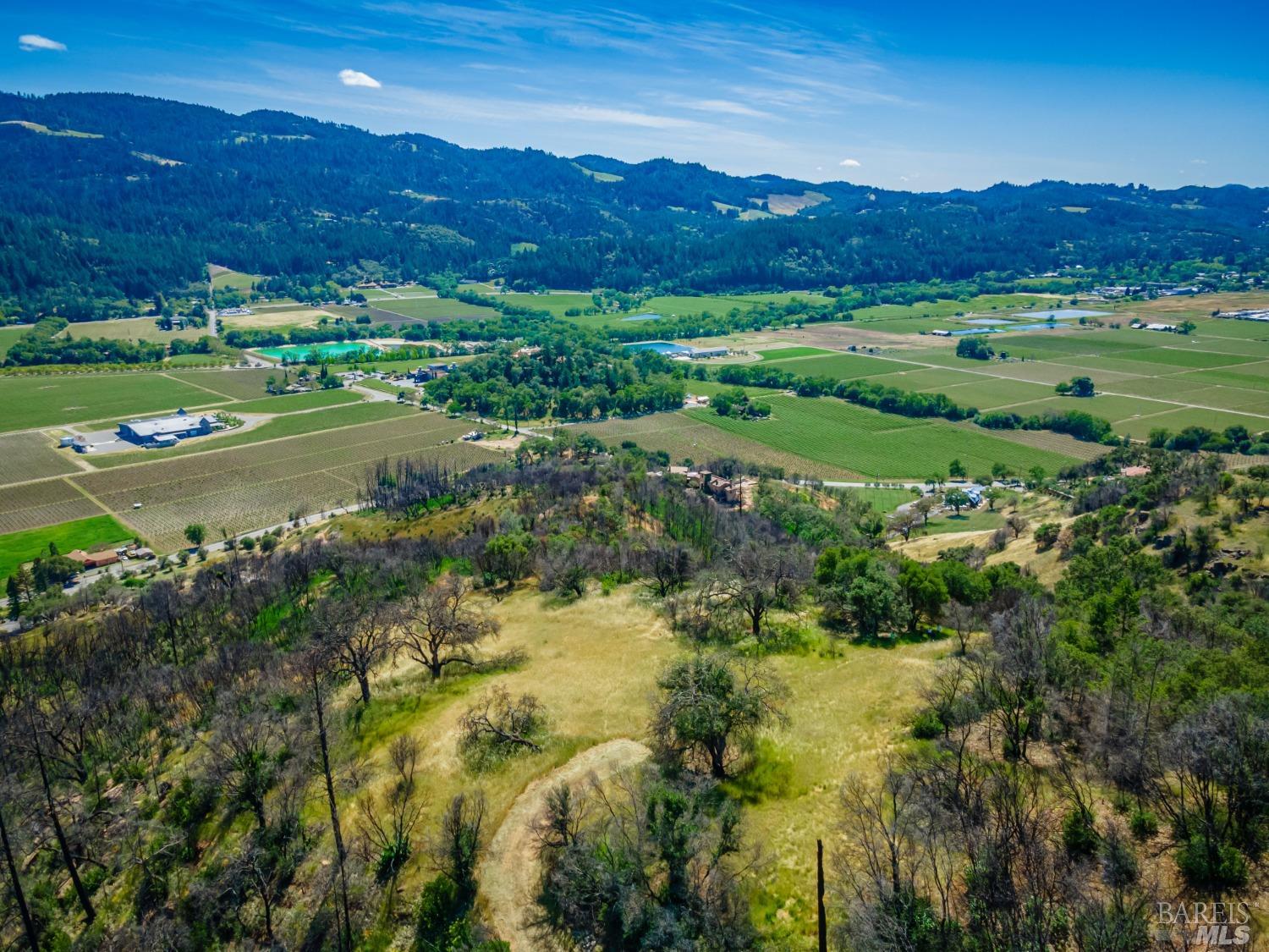 0 Silverado Trail North Calistoga, CA 94515 - Photo 21 of 82