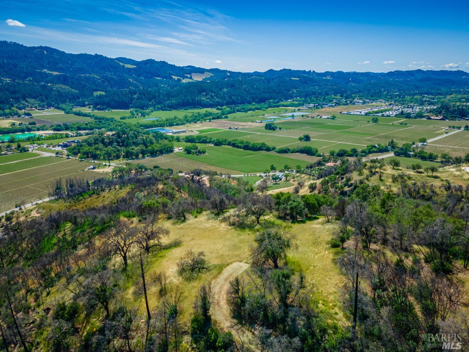 0 Silverado Trail North Calistoga, CA 94515 - Photo 22 of 82 a view of a lush green hillside and houses
