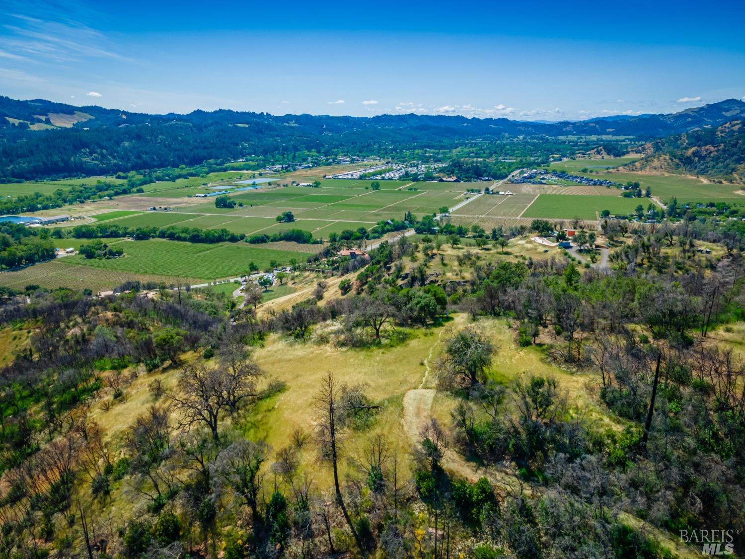 0 Silverado Trail North Calistoga, CA 94515 - Photo 23 of 82 a view of a city with lush green forest