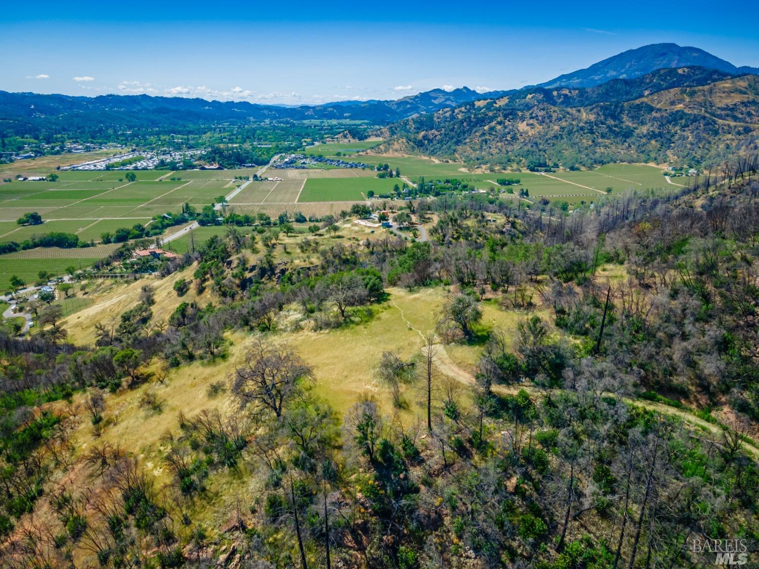 0 Silverado Trail North Calistoga, CA 94515 - Photo 24 of 82 an aerial view of residential houses with outdoor space and trees