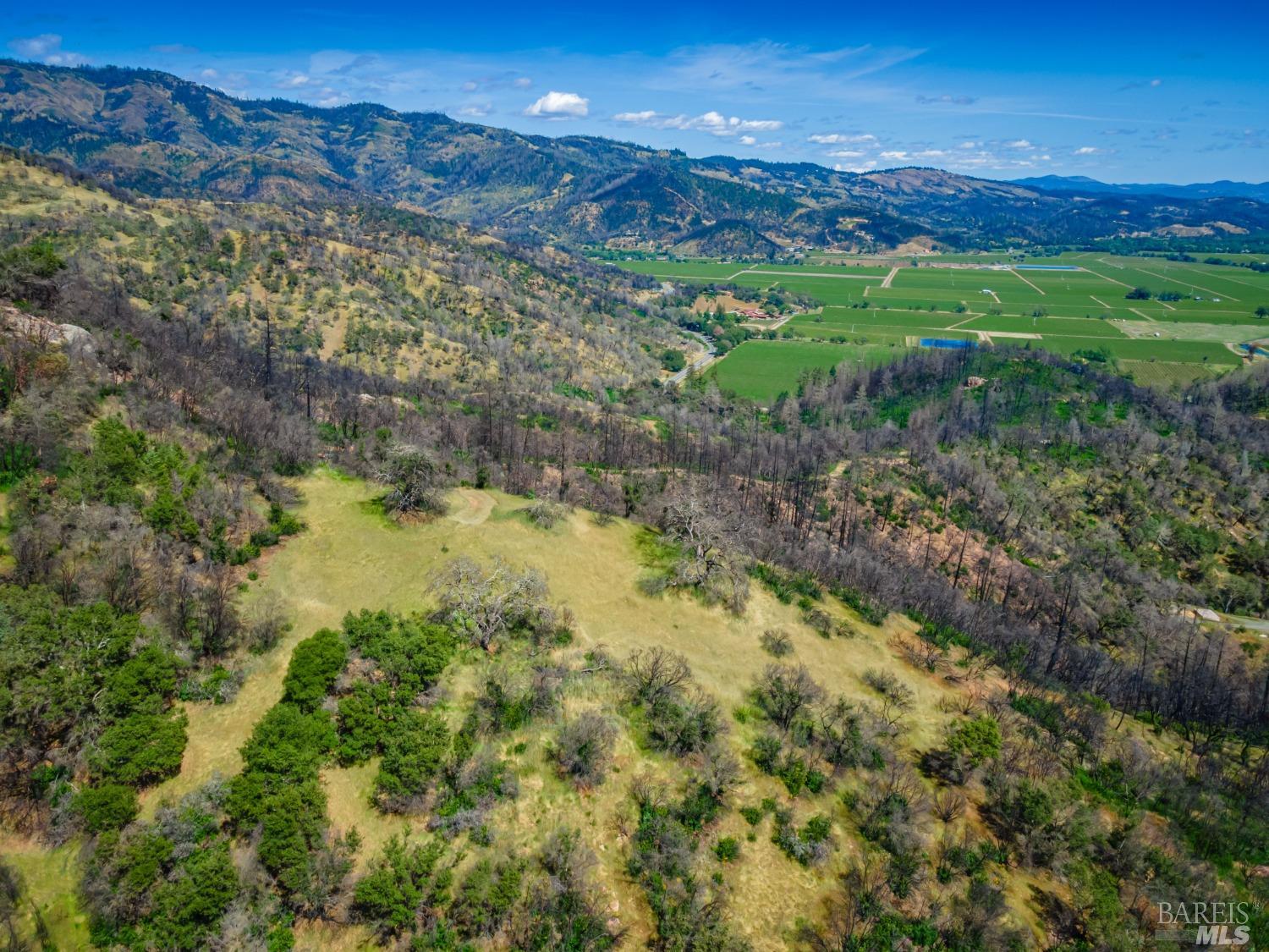 0 Silverado Trail North Calistoga, CA 94515 - Photo 30 of 82 a view of a lush green hillside and a mountain view