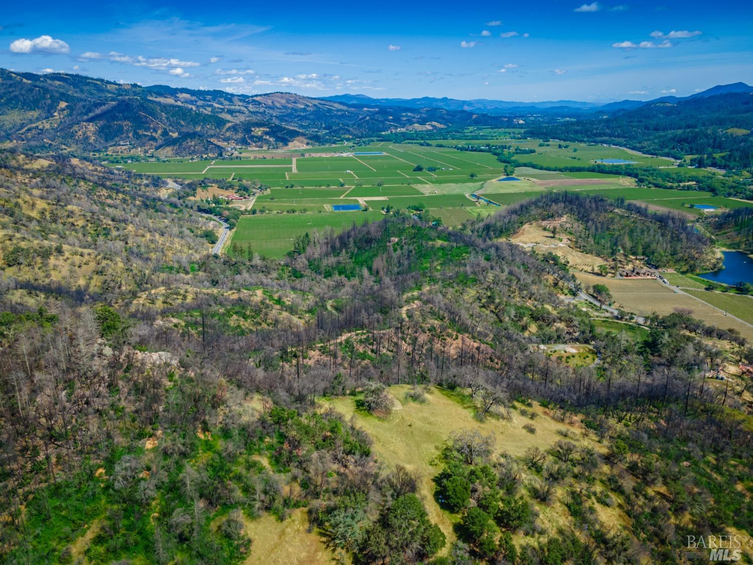 0 Silverado Trail North Calistoga, CA 94515 - Photo 36 of 82 a view of a lush green hillside and a houses