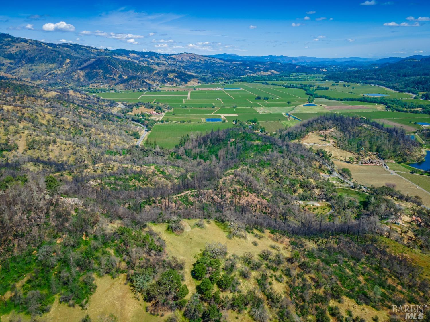 0 Silverado Trail North Calistoga, CA 94515 - Photo 37 of 82 a view of a lush green field with lots of bushes