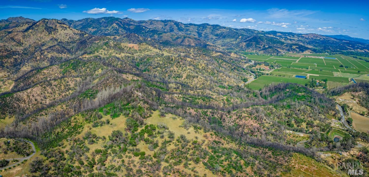 0 Silverado Trail North Calistoga, CA 94515 - Photo 40 of 82 a view of a lush green forest with lots of trees