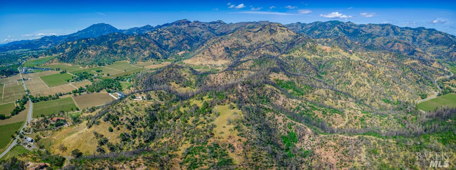 0 Silverado Trail North Calistoga, CA 94515 - Photo 43 of 82 a view of a houses with a lush green forest