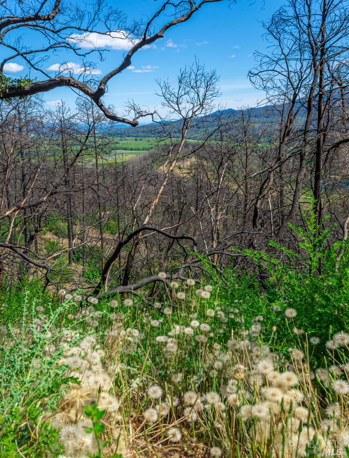 0 Silverado Trail North Calistoga, CA 94515 - Photo 46 of 82