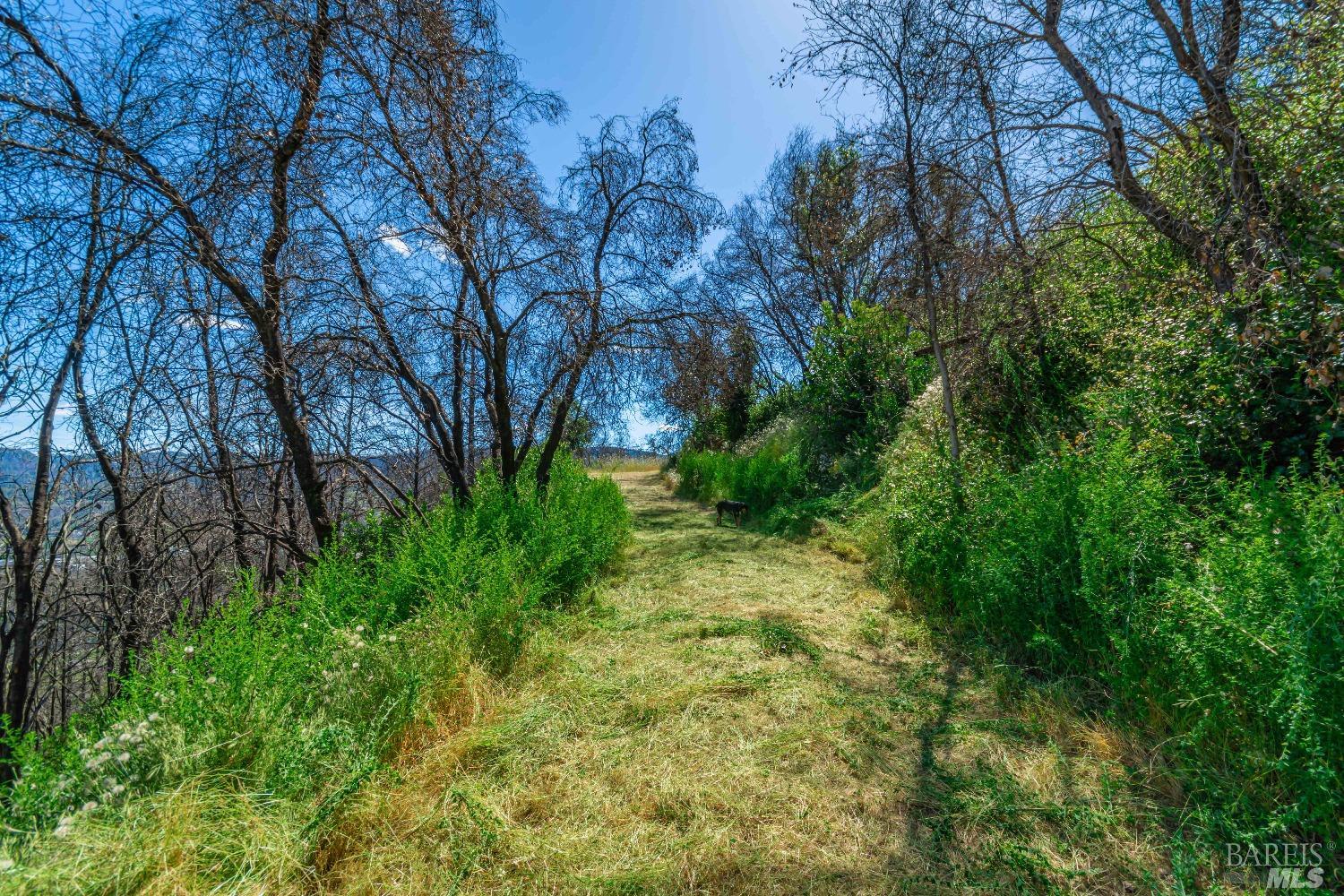 0 Silverado Trail North Calistoga, CA 94515 - Photo 47 of 82