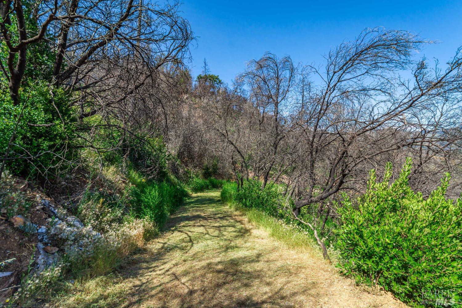 0 Silverado Trail North Calistoga, CA 94515 - Photo 48 of 82 a backyard of a house with lots of green space
