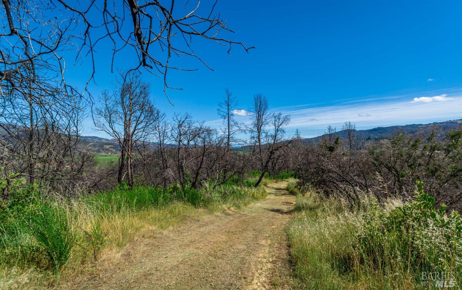 0 Silverado Trail North Calistoga, CA 94515 - Photo 49 of 82