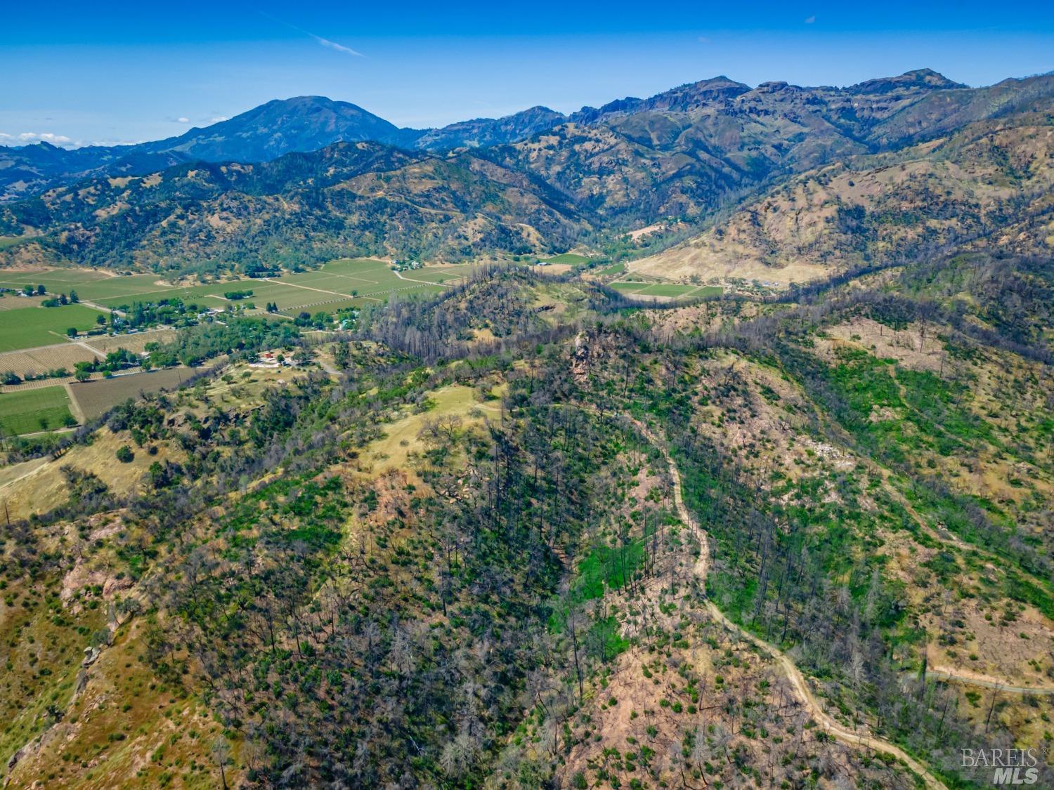 0 Silverado Trail North Calistoga, CA 94515 - Photo 52 of 82 a view of a forest with mountains in the background