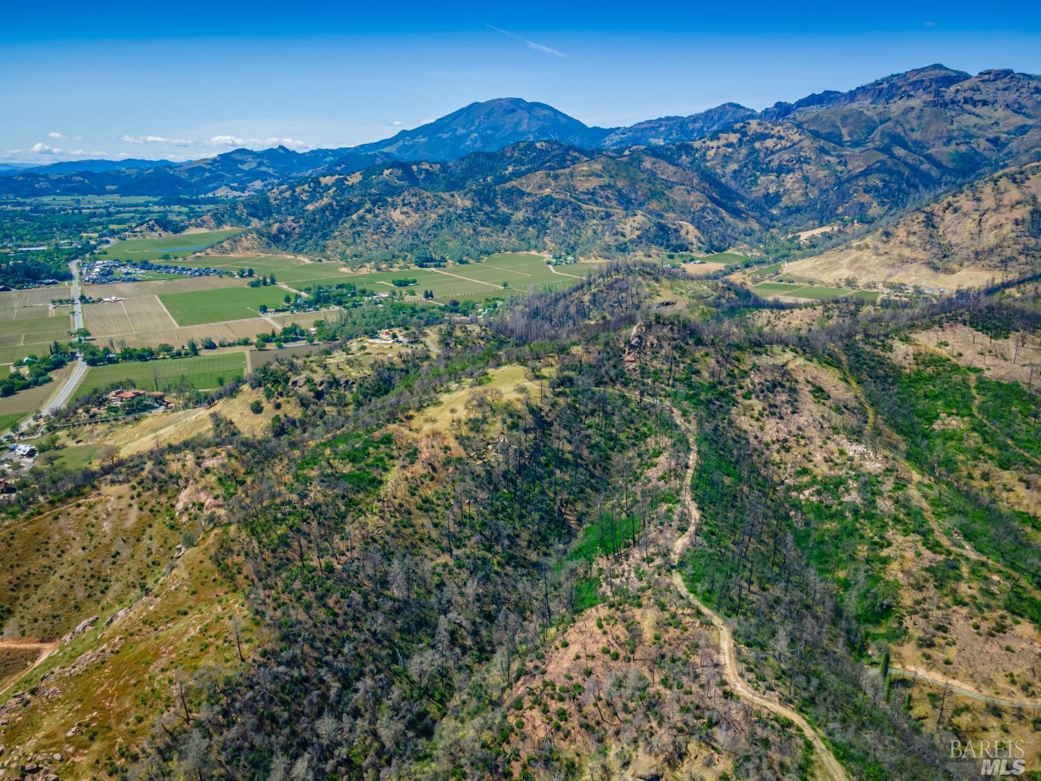 0 Silverado Trail North Calistoga, CA 94515 - Photo 53 of 82 a view of a lush green field with lots of bushes