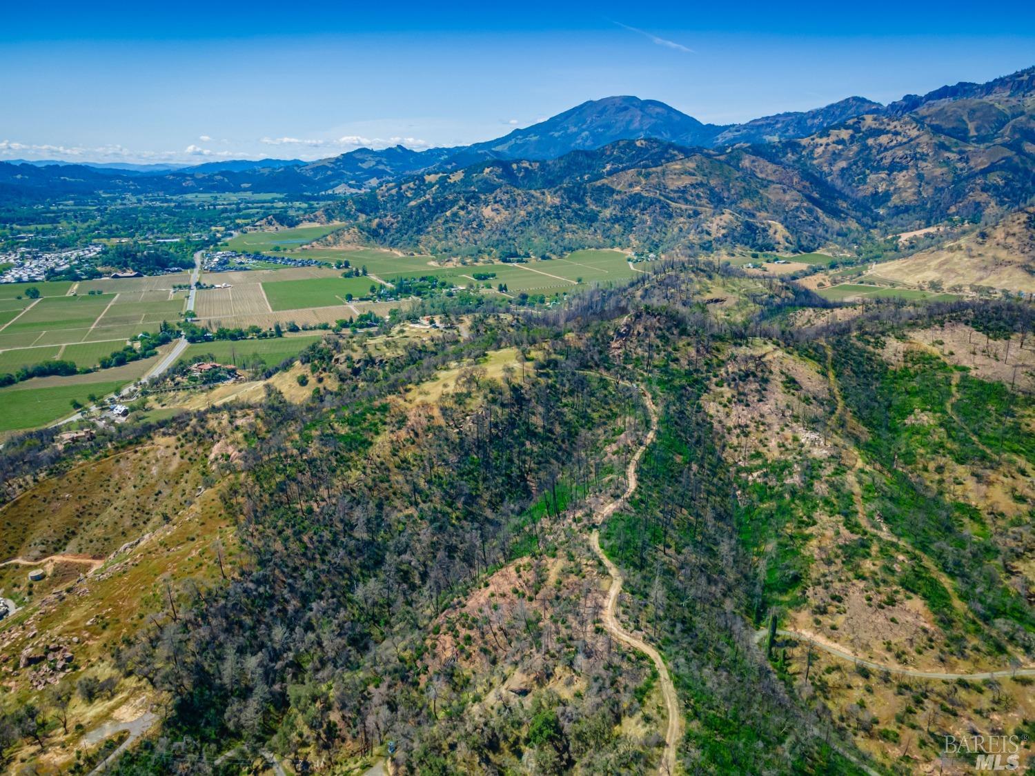 0 Silverado Trail North Calistoga, CA 94515 - Photo 54 of 82