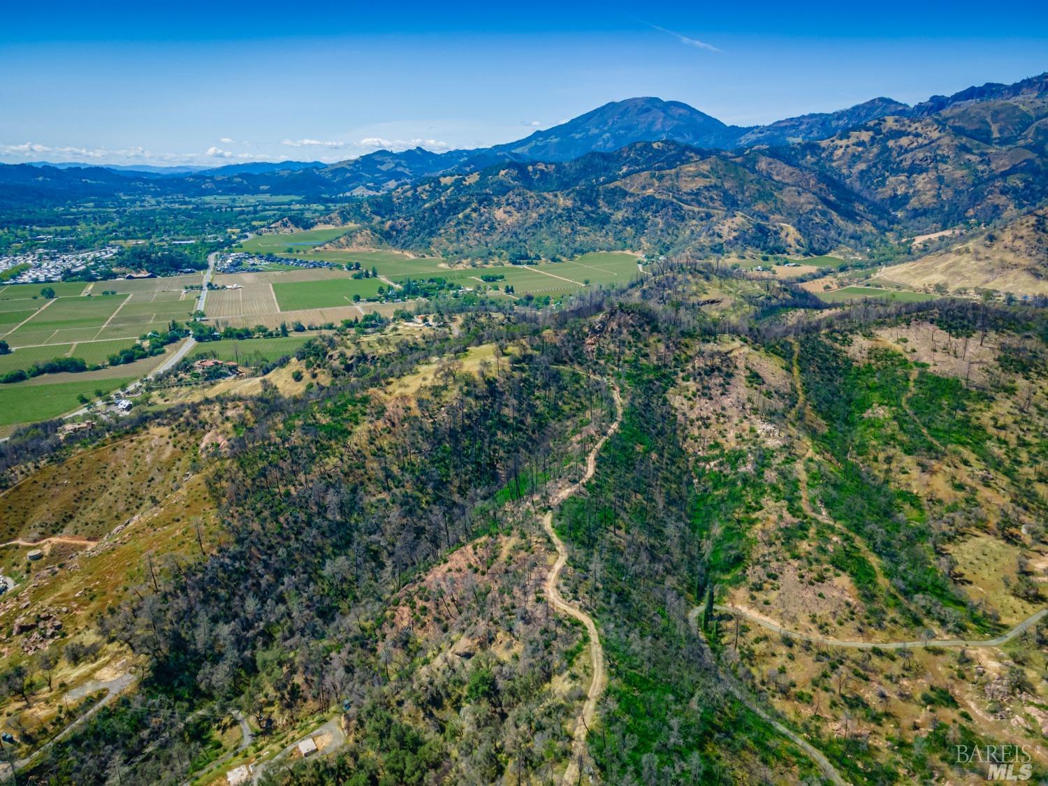 0 Silverado Trail North Calistoga, CA 94515 - Photo 55 of 82